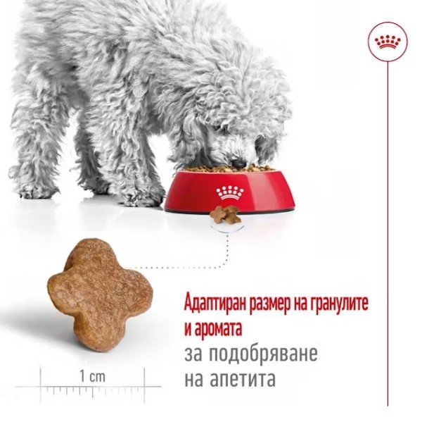 Royal Canin Adult Mini 8+ - Пълноценна суха храна за кучета от дребни породи от 8 до 12 години
